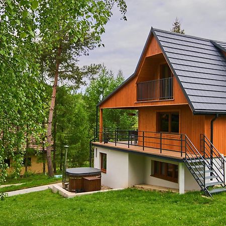 Willa Ada bieszczady Baligród Zewnętrze zdjęcie