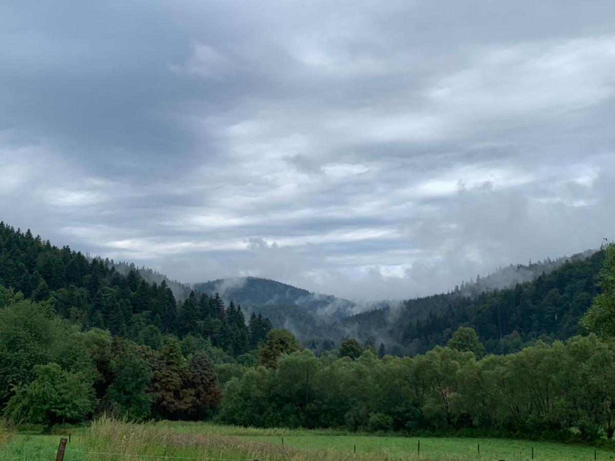 Willa Ada bieszczady Baligród Zewnętrze zdjęcie
