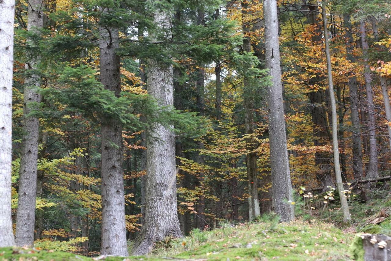 Willa Ada bieszczady Baligród Zewnętrze zdjęcie
